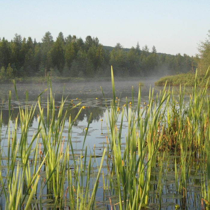 Photo : Sébastien Nadeau